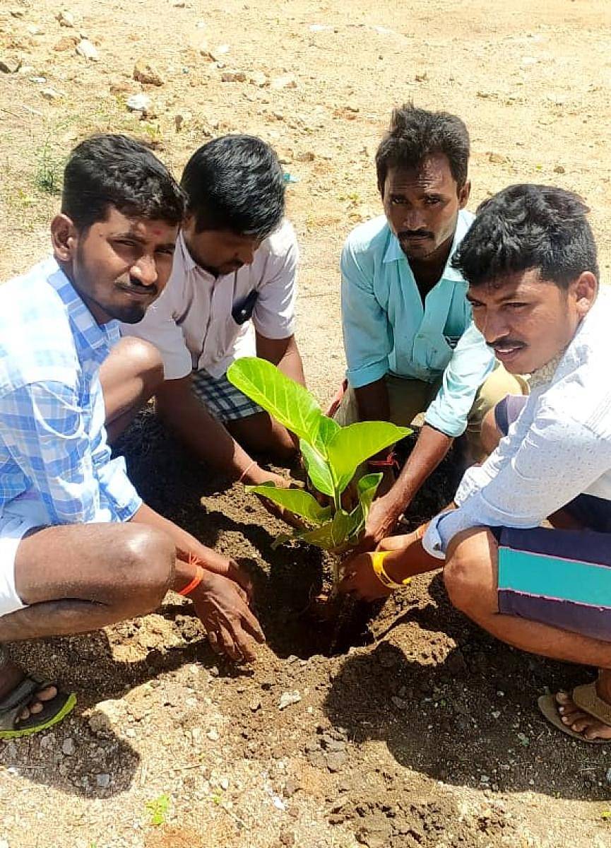 ಕಾರಟಗಿ ತಾಲ್ಲೂಕಿನ ಹುಳ್ಕಿಹಾಳಕ್ಯಾಂಪ್ನಲ್ಲಿ ಮಗನ ಹುಟ್ಟುಹಬ್ಬದ ಪ್ರಯುಕ್ತ ಸ್ಮಶಾನದಲ್ಲಿ ಸಸಿಗಳನ್ನು ನೆಟ್ಟು ವೈಚಾರಿಕತೆ ಮೆರೆಯಲಾಯಿತು