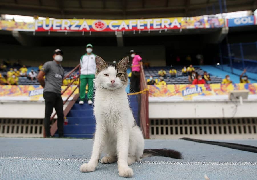 ಸಾಂದರ್ಭಿಕ ಚಿತ್ರ