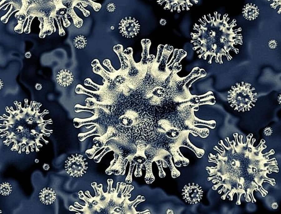 ವೈರಸ್–ಪ್ರಾತಿನಿಧಿಕ ಚಿತ್ರ