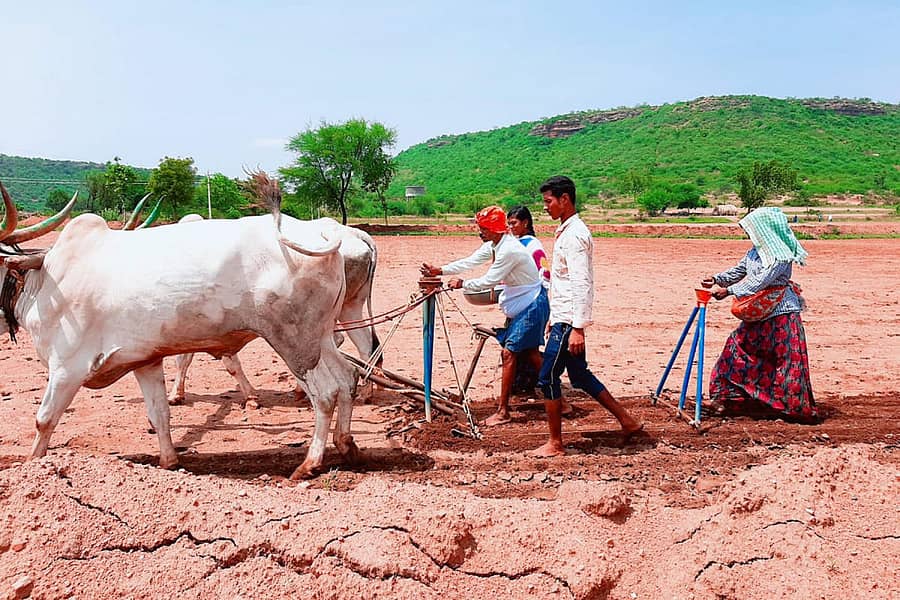 ಹನುಮಸಾಗರ ಸಮೀಪದ ಗಡಚಿಂತಿ ಗ್ರಾಮದಲ್ಲಿ ಶನಿವಾರ ರೈತ ಮಹಾಂತೇಶ ಗರೇಬಾಳ ಬಿತ್ತನೆ ಕಾರ್ಯದಲ್ಲಿ ತೊಡಗಿರುವುದು ಕಂಡುಬಂತು