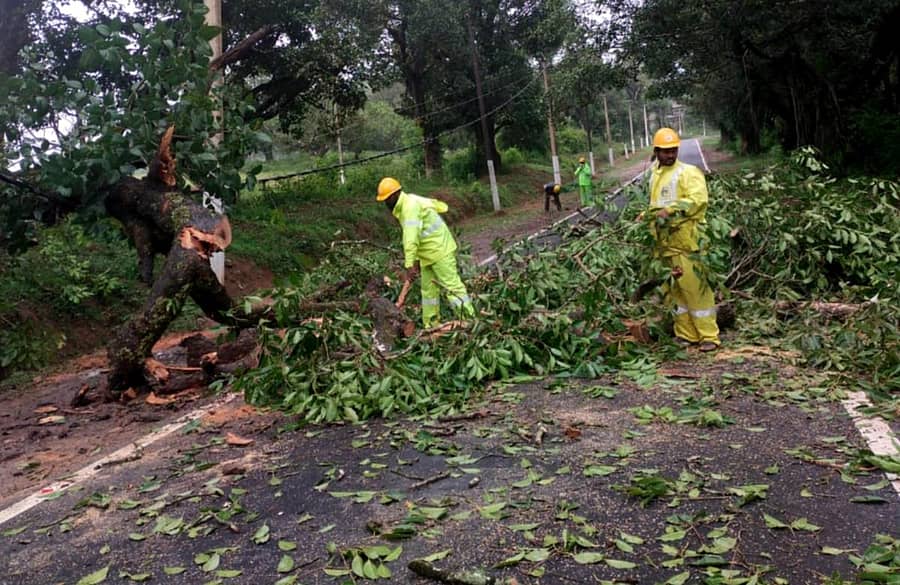 ಸೋಮವಾರಪೇಟೆ ಸಮೀಪದ ಬೀಟಿಕಟ್ಟೆ ಬಳಿ ಗಾಳಿ ಮಳೆಗೆ ಮರ ರಸ್ತೆಗೆ ಬಿದ್ದಿರುವುದು