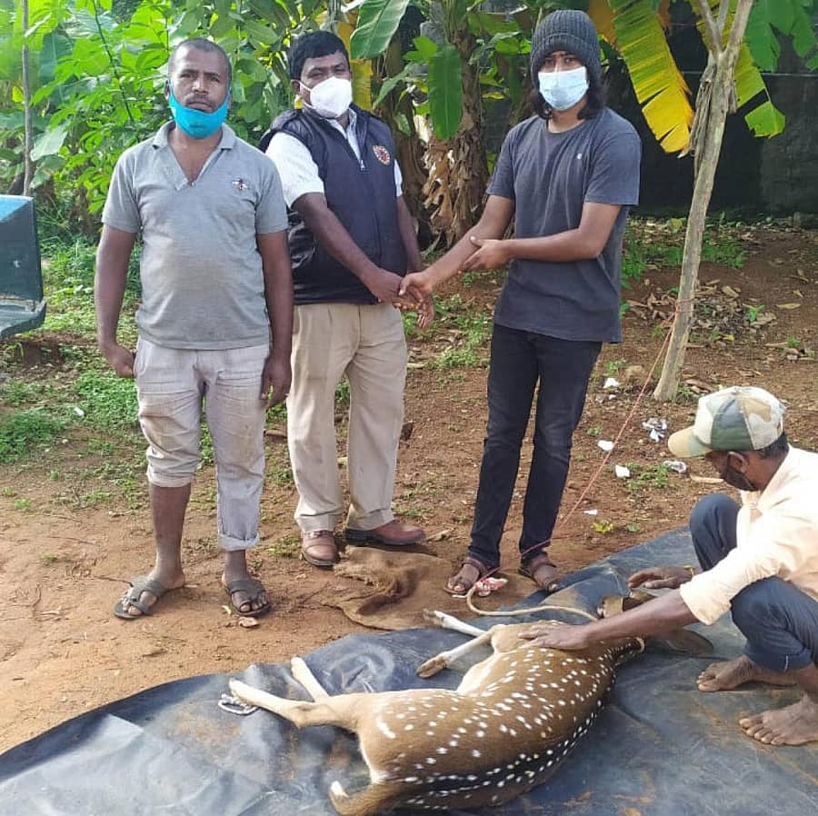 ಜಿಂಕೆಯನ್ನು ರಕ್ಷಿಸಿ ಅರಣ್ಯಾಧಿಕಾರಿಗಳಿಗೆ ಹಸ್ತಾಂತರಿಸಲಾಯಿತು.