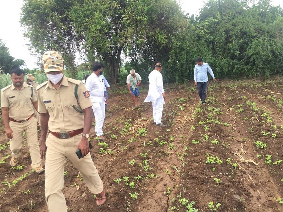 ಆಲಮೇಲ ಸಮೀಪದ ಬಮ್ಮನಹಳ್ಳಿ ಗ್ರಾಮದ ಚಿರತೆ ದಾಳಿಮಾಡಿರುವ ಸ್ಥಳಕ್ಕೆ ಅರಣ್ಯ ಅಧಿಕಾರಿಗಳು ಭೇಟಿ ನೀಡಿ ಪರಿಶೀಲಿಸಿದರು