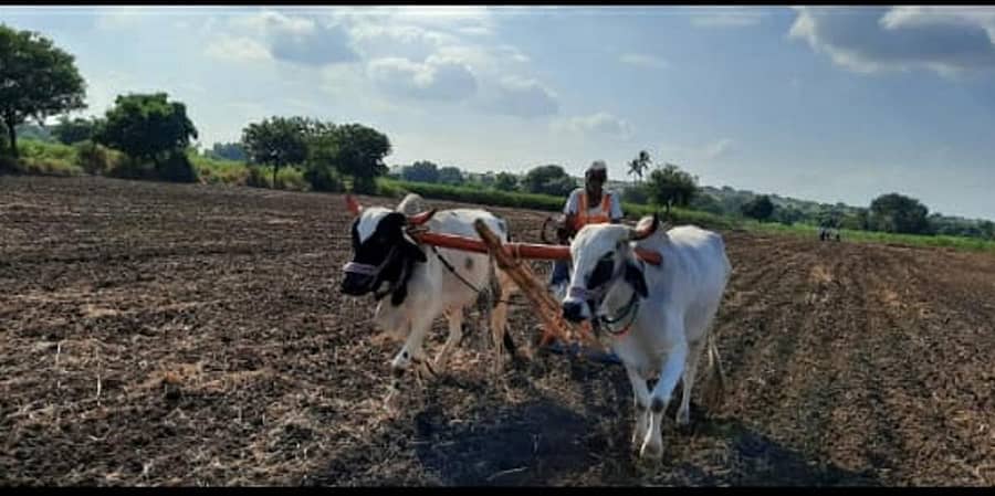 ಮುಂಗಾರು ಬಿತ್ತನೆಯಲ್ಲಿ ತೊಡಗಿದ ರೈತ