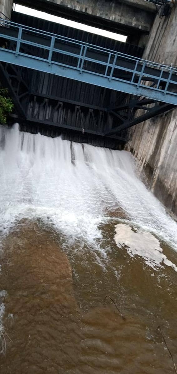 ಚಿಂಚೋಳಿ ತಾಲ್ಲೂಕು ಕೆಳದಂಡೆ ಮುಲ್ಲಾಮಾರಿ ಯೋಜನೆಯ ನಾಗರಾಳ ಜಲಾಶಯದಿಂದ ಹೆಚ್ಚುವರಿ ನೀರನ್ನು ಶುಕ್ರವಾರ ನದಿಗೆ ಹರಿಸಲಾಯಿತು