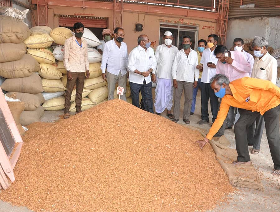 ಬೀದರ್ನ ಎಪಿಎಂಸಿ ಮಾರುಕಟ್ಟೆಯಲ್ಲಿ ರೈತರು ಮಾರಾಟಕ್ಕೆ ತಂದ ತೊಗರಿ ಪರಿಶೀಲಿಸುತ್ತಿರುವ ವ್ಯಾಪಾರಿಗಳು