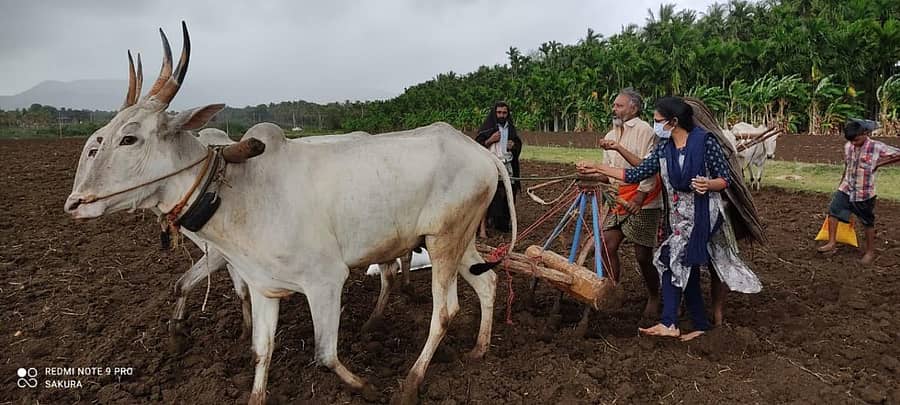 ರಾಮೇಶ್ವರದ ರೈತರೊಬ್ಬರ ಹೊಲದಲ್ಲಿ ಮೆಕ್ಕೆಜೋಳ ಬಿತ್ತನೆಗೆ ಕೃಷಿ ಉಪ ನಿರ್ದೇಶಕಿ ಹಂಸವೇಣಿ ಅವರು ಸಹಕರಿಸಿದರು.