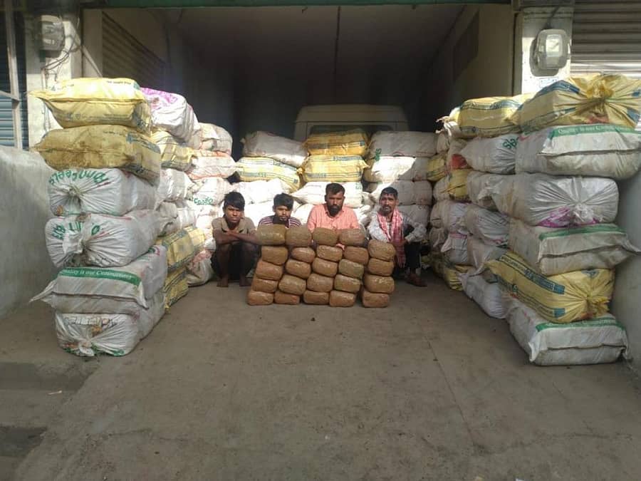 ಜಪ್ತಿ ಮಾಡಿದ ಗಾಂಜಾ ಜೊತೆಯಲ್ಲಿ ಆರೋಪಿಗಳು