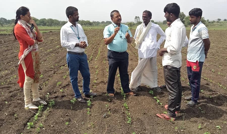 ಬೀದರ್ ತಾಲ್ಲೂಕಿನ ಜನವಾಡದ ಕೃಷಿ ವಿಜ್ಞಾನ ಕೇಂದ್ರದ ವಿಜ್ಞಾನಿಗಳು ಕೌಠಾದಲ್ಲಿ ಸೋಯಾ ಅವರೆ ಬೆಳೆ ಪರೀಕ್ಷೆ ನಡೆಸಿದರು. ಡಾ. ಸುನೀಲಕುಮಾರ ಎನ್.ಎಂ, ಡಾ. ಅಕ್ಷಯಕುಮಾರ, ಅರ್ಚನಾ ಪಾಟೀಲ, ಓಂಕಾರ ಸೆಳಕೆ, ರಾಜಕುಮಾರ ಇದ್ದರು