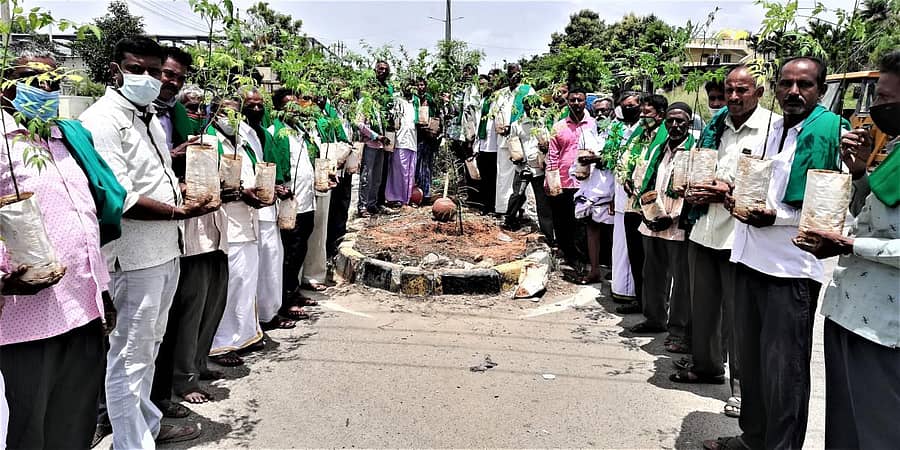 ಕೈಗಾರಿಕಾ ಪ್ರದೇಶದಲ್ಲಿ ರೈತ ಸಂಘದ ವತಿಯಿಂದ ಆಯೋಜಿಸಿದ್ದ ಸಸಿ ನೆಡುವ ಹಾಗೂ ವಿತರಣೆ ಮಾಡುವ ಕಾರ್ಯಕ್ರಮದಲ್ಲಿ ಪಾಲ್ಗೊಂಡಿದ್ದ ರೈತರು