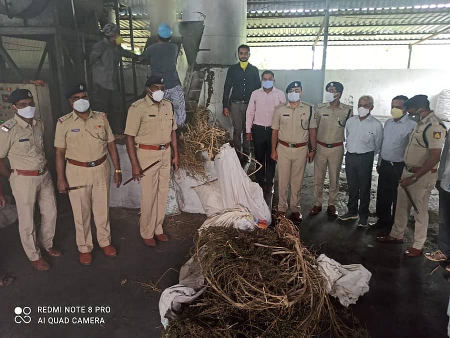 ಬೆಳಗಾವಿ ಜಿಲ್ಲಾ ಪೊಲೀಸ್ ವತಿಯಿಂದ ವಶಕ್ಕೆ ಪಡೆದಿದ್ದ ಮಾದಕ ಪದಾರ್ಥವನ್ನು ಹಿರಿಯ ಅಧಿಕಾರಿಗಳ ಸಮ್ಮುಖದಲ್ಲಿ ಶನಿವಾರ ನಾಶಪಡಿಸಲಾಯಿತು
