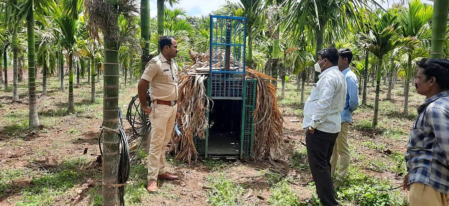ಹರಿಹರ ತಾಲ್ಲೂಕಿನ ಚಿಕ್ಕಬಿದರೆ ಗ್ರಾಮದಲ್ಲಿ ಚಿರತೆ ಸೆರೆಗಾಗಿ ಅರಣ್ಯ ಇಲಾಖೆ ಹಾಗೂ ಪೊಲೀಸ್ ಇಲಾಖೆಯಿಂದ ಬೋನು ಇಡಲಾಯಿತು.