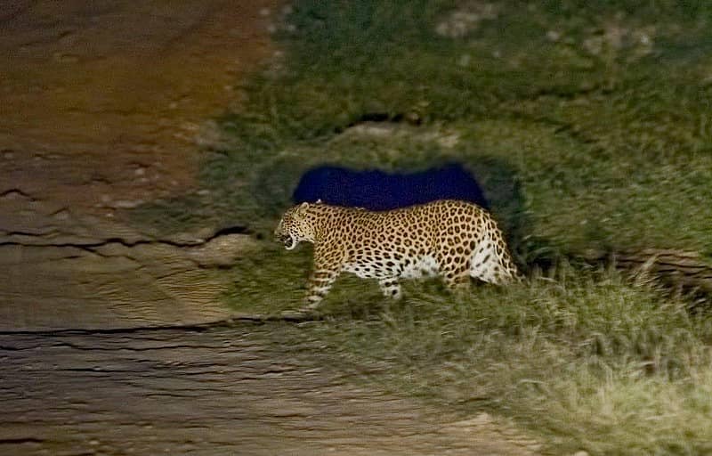 ಸಾಂದರ್ಭಿಕ ಚಿತ್ರ