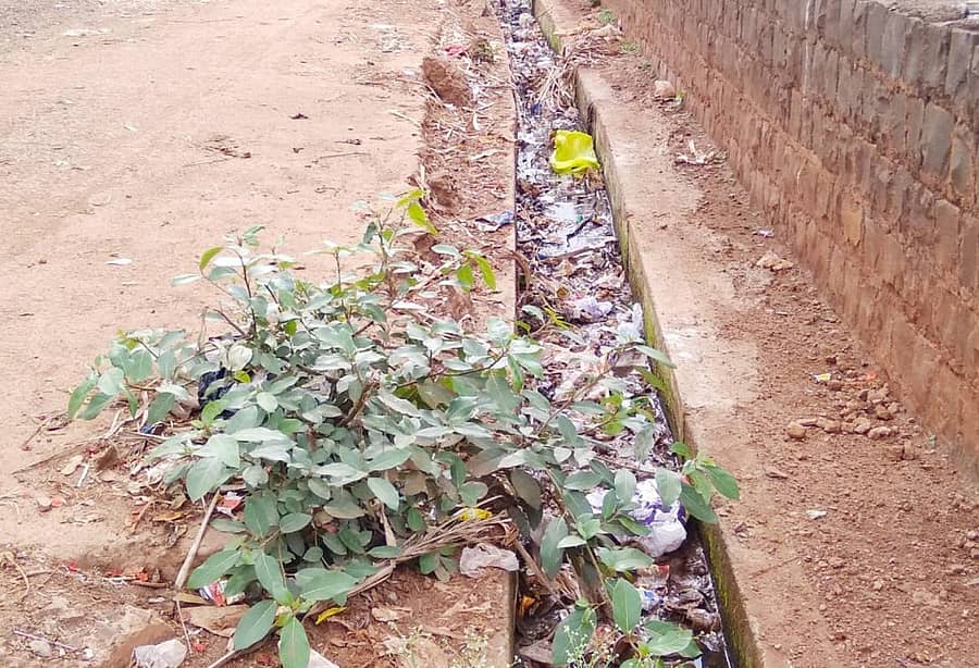 ಹುಮನಾಬಾದ್ ಪಟ್ಟಣದ ಹೌಸಿಂಗ್ ಬೋರ್ಡ್ ಬಡಾವಣೆಯ ಚರಂಡಿಗಳಲ್ಲಿ ಪ್ಲಾಸ್ಟಿಕ್ ತ್ಯಾಜ್ಯ ತುಂಬಿರುವುದು