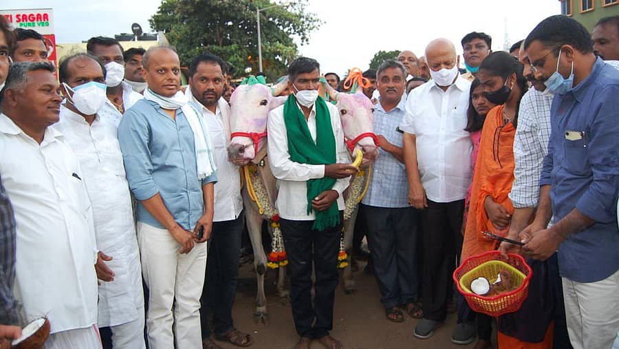 ಹುಬ್ಬಳ್ಳಿಯ ಸಿದ್ಧಾರೂಢ ಮಠದಲ್ಲಿ ಮಂಗಳವಾರ ವಿಧಾನ ಪರಿಷತ್ ವಿರೋಧಪಕ್ಷದ ನಾಯಕ ಎಸ್.ಆರ್.ಪಾಟೀಲ ಅವರು ನಾಗರಾಜ ಛಬ್ಬಿ ಕೊಡಿಸಿದ ಎತ್ತುಗಳನ್ನು ಕಲಘಟಗಿ ತಾಲ್ಲೂಕಿನ ಮಡಕಿಹೊನ್ನಳ್ಳಿಯ ರೈತ ಮುತ್ತು ಜಾವೂರು ಅವರಿಗೆ ನೀಡಿದರು