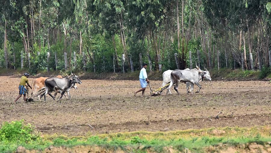 ಪ್ರಾತಿನಿಧಿಕ ಚಿತ್ರ