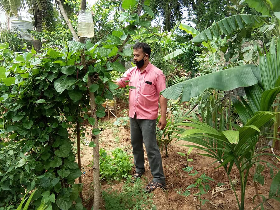 ಸಾವಯವ ಕೃಷಿ ತೋಟದಲ್ಲಿ ಕಾಯಕ ನಿರತ ಫೈಜ್ನಟ್ರಾಜ್.