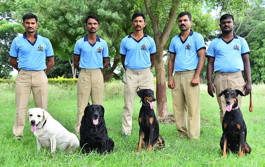 ಹಾವೇರಿ ಜಿಲ್ಲಾ ಪೊಲೀಸ್ ‘ಶ್ವಾನದಳ’ದಲ್ಲಿರುವ ಕನಕ, ರಾಣಿ, ಜ್ಯೂಲಿ ಹಾಗೂ ಝಾನ್ಸಿಯೊಂದಿಗೆ ತರಬೇತುದಾರರು –ಪ್ರಜಾವಾಣಿ ಚಿತ್ರ: ಮಾಲತೇಶ ಇಚ್ಚಂಗಿ