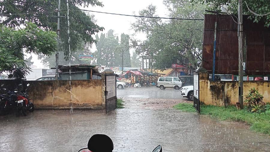 ತುರುವೇಕೆರೆ ಪಟ್ಟಣದಲ್ಲಿ ಶುಕ್ರವಾರ ಬೆಳಿಗ್ಗೆ ಸುರಿದ ಆರಿದ್ರಾ ಮಳೆ ( ಎಡಚಿತ್ರ), ತುಮಕೂರು ನಗರದಲ್ಲಿ ಶುಕ್ರವಾರ ಕೆಲ ಕಾಲ ಉತ್ತಮ ಮಳೆ ಬಿತ್ತು. ಮಳೆಯಲ್ಲೇ ವಾಹನಗಳು ಸಾಗಿದವು