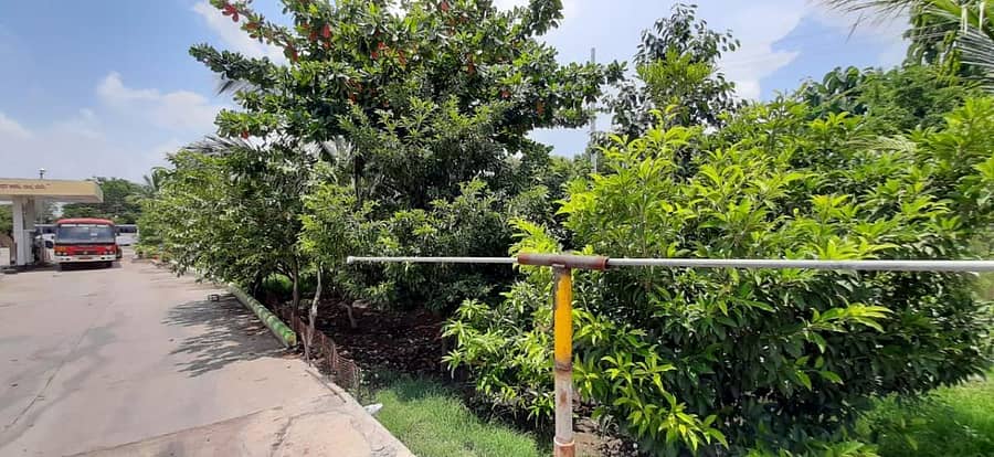 ವಿಜಯಪುರ ಬಸ್ ಡಿಪೋದಲ್ಲಿ ಒಂದರಲ್ಲಿ ಕಂಗೊಳಿಸುತ್ತಿರುವ ಕೈ ತೋಟ