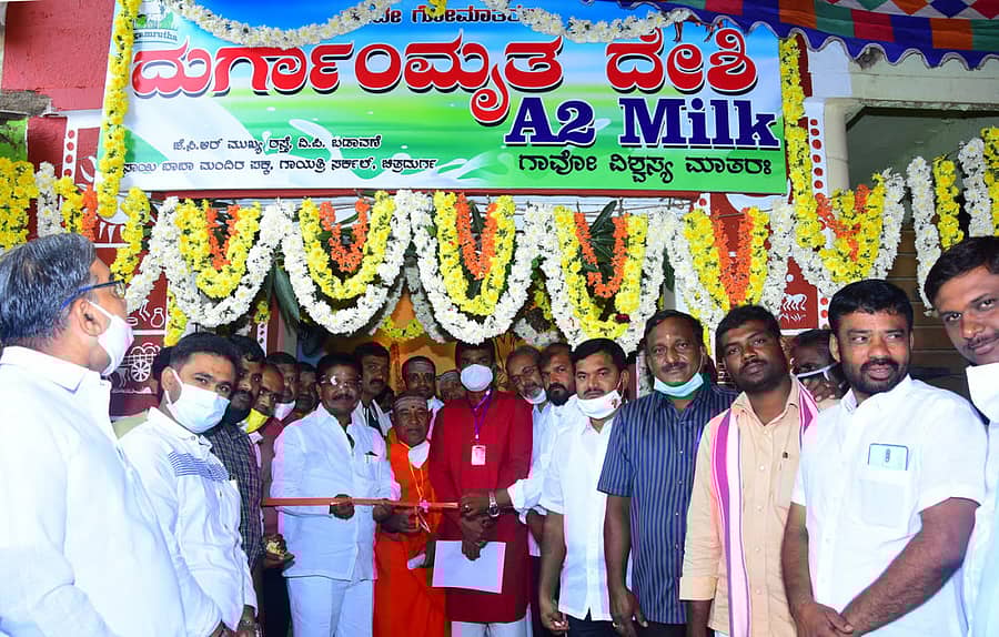 ಚಿತ್ರದುರ್ಗದ ಜೆಸಿಆರ್‌ ಬಡಾವಣೆಯಲ್ಲಿ ತೆರೆದ ದೇಸಿ ಗೀರ್‌ ತಳಿಯ ಹಸುವಿನ ಹಾಲಿನ ಕೇಂದ್ರವನ್ನು ಶಾಸಕ ಟಿ.ರಘುಮೂರ್ತಿ ಅವರು ಭಾನುವಾರ ಉದ್ಘಾಟಿಸಿದರು.