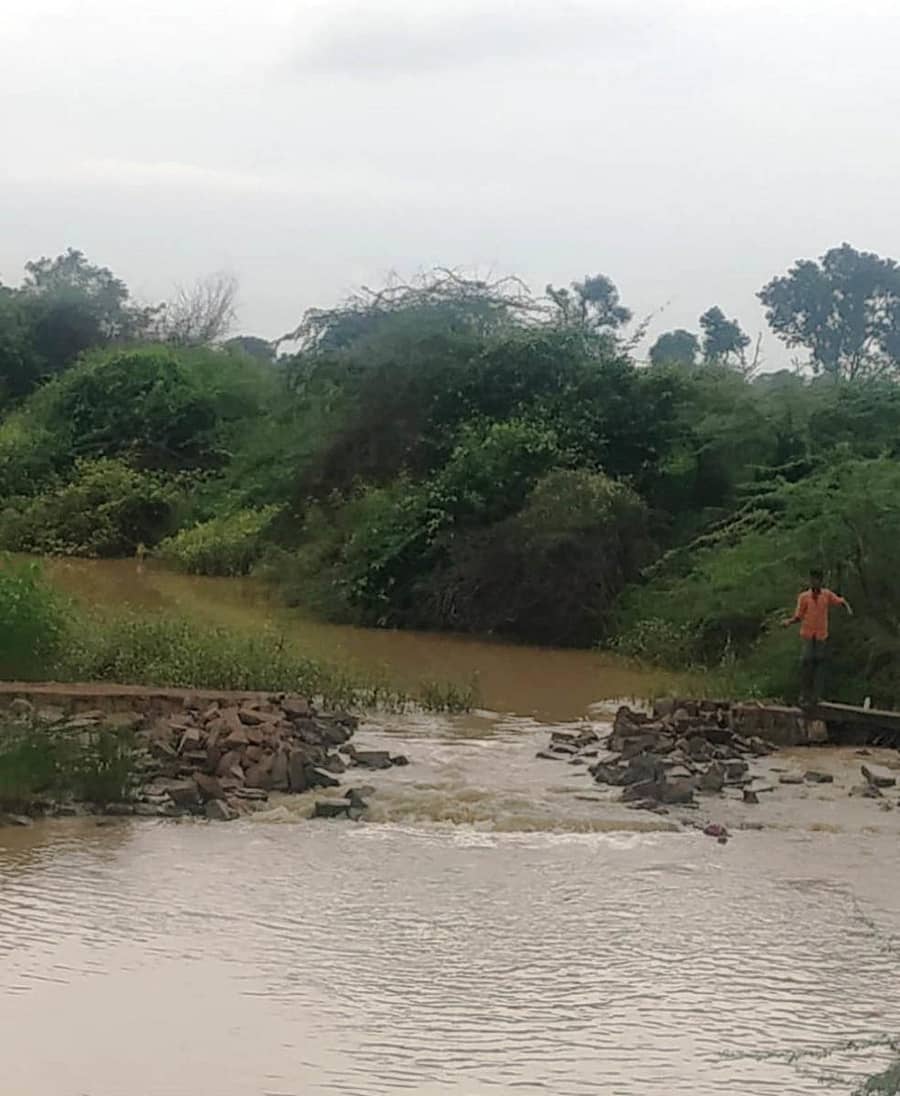 ವಾಡಿ ಸಮೀಪದ ಬಳವಡ್ಗಿ ಗ್ರಾಮದ ಬಳಿಯ ಹಳ್ಳದಲ್ಲಿ ಬೆಳೆದು ನಿಂತ ಗಿಡಗಂಟಿಗಳು