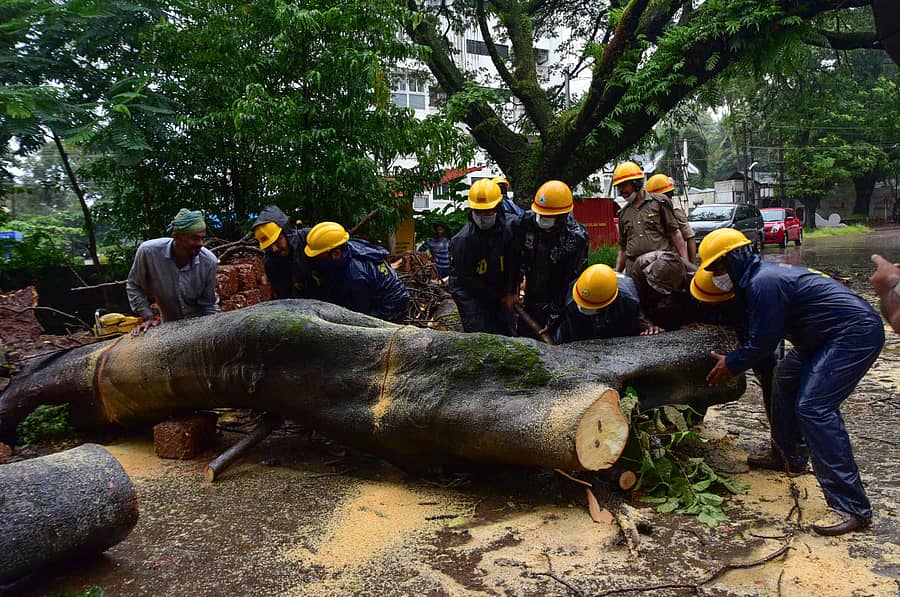 ಸೋಮವಾರ ಬೆಳಿಗ್ಗೆ ಸುರಿದ ಮಳೆಗೆ ಮಂಗಳೂರಿನ ಕದ್ರಿ ಶಿವಭಾಗ್ನಲ್ಲಿ ಉರುಳಿ ಬಿದ್ದ ಮರವನ್ನು ಅಗ್ನಿಶಾಮಕ ಮತ್ತು ತುರ್ತು ಸೇವೆ ಹಾಗೂ ಅರಣ್ಯ ಇಲಾಖೆ ಸಿಬ್ಬಂದಿ ತೆರವುಗೊಳಿಸಿದರು.