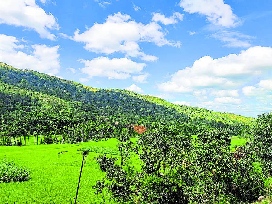ಸಾಗರ ತಾಲ್ಲೂಕಿನ ಕುದರೂರು ಜಿಲ್ಲಾ ಪಂಚಾಯಿತಿ ಕ್ಷೇತ್ರ ವ್ಯಾಪ್ತಿಯ ಕಾರಣಿ ಗ್ರಾಮದ ಒಂದು ನೋಟ.