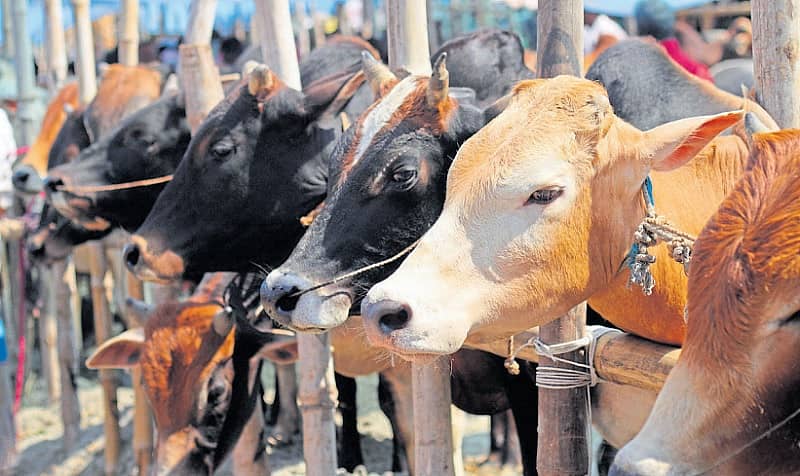 ಪ್ರಾತಿನಿಧಿಕ ಚಿತ್ರ