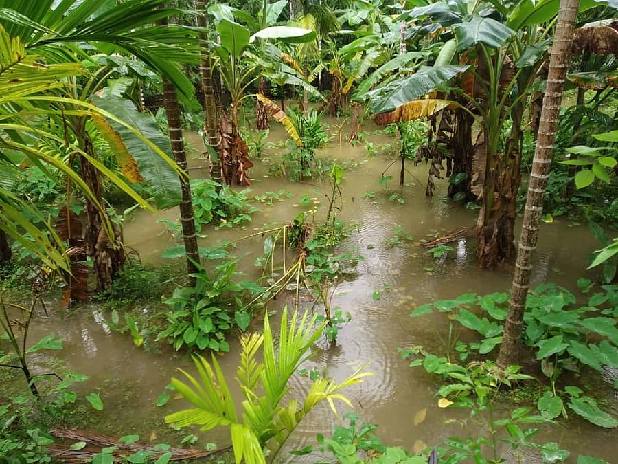 ಹೊನ್ನಾವರ ತಾಲ್ಲೂಕಿನ ಗುಂಡಿಬೈಲಿನಲ್ಲಿ ಗುಂಡಬಾಳ ನದಿ ತುಂಬಿ ಹರಿಯುತ್ತಿದ್ದು, ಸಮೀಪದ ತೋಟಗಳಿಗೆ ನೀರು ನುಗ್ಗಿ ಜಲಾವೃತವಾಗಿವೆ