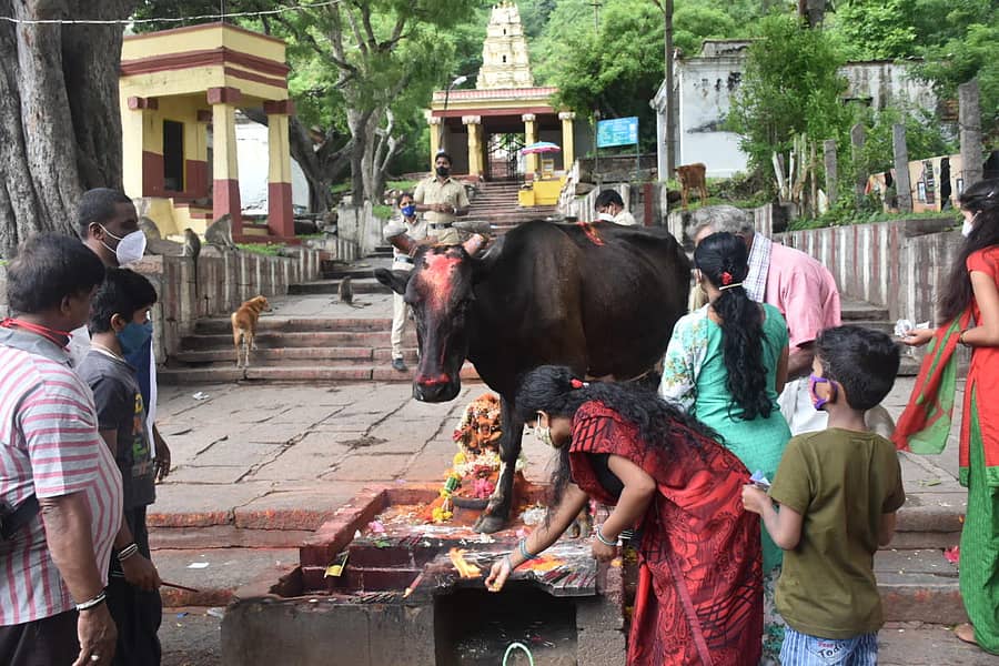 ಮೈಸೂರಿನ ಚಾಮುಂಡಿಬೆಟ್ಟದಲ್ಲಿ ಶುಕ್ರವಾರ ಭಕ್ತರು ಬೆಟ್ಟದ ಪಾದದಲ್ಲೇ ನಮಿಸಿ ಹೊರಟರು