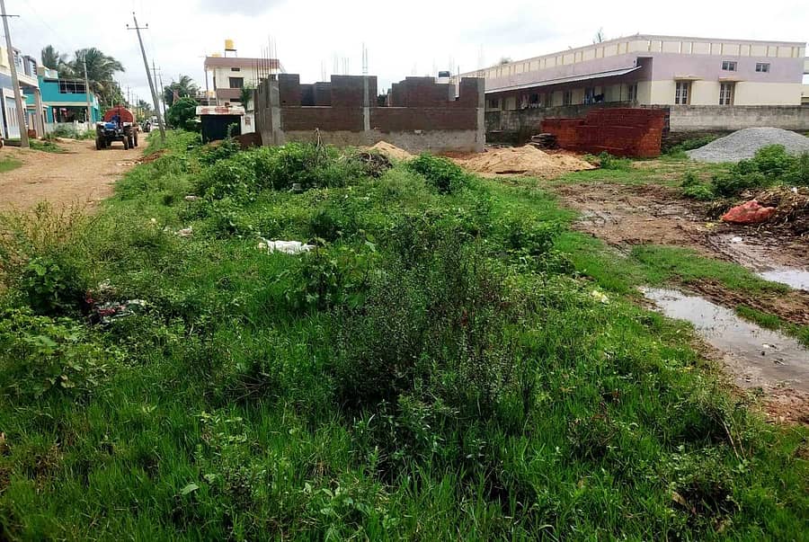 ಗುತ್ತಲ ಪಟ್ಟಣದ ಮಾಲತೇಶ ನಗರದ ಚರಂಡಿಯಲ್ಲಿ ಹುಲ್ಲು, ಗಿಡಗಂಟಿ ಬೆಳೆದು ನೀರು ಹರಿಯಲು ಜಾಗವೇ ಇಲ್ಲದಂತಾಗಿದೆ