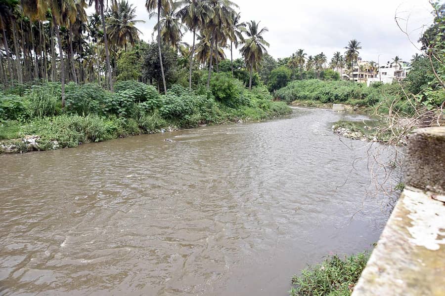 ಗುಟ್ಟೆ ಆಂಜನೇಯಸ್ವಾಮಿ ದೇವಸ್ಥಾನ ರಸ್ತೆ ಸನಿಹದ ಕೃಷಿ ಭೂಮಿಯ ಪಕ್ಕದಲ್ಲಿ ಹಾದು ಹೋಗಿರುವ ರಾಜಕಾಲುವೆ–ಪ್ರಜಾವಾಣಿ ಚಿತ್ರ/ ಅನೂಪ್ ರಾಘ ಟಿ.