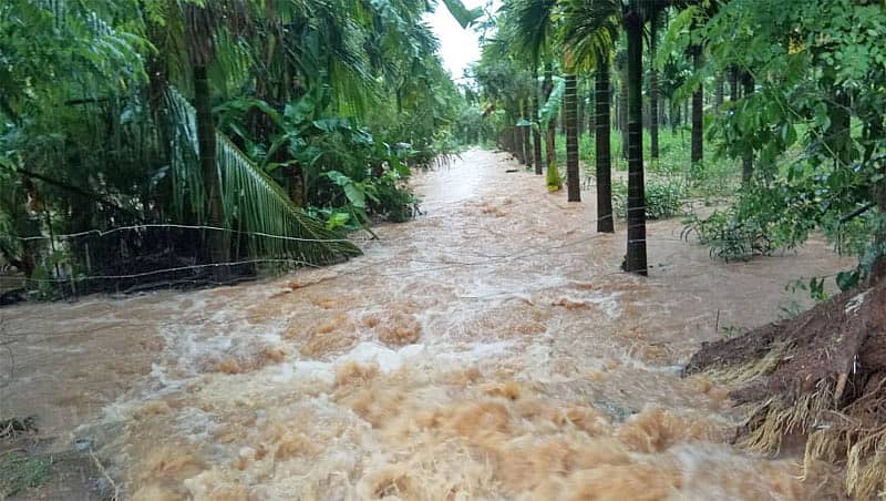 ಕೆರೆ ಕಟ್ಟೆ ಕೆಲವೆಡೆ ಒಡೆದಿದ್ದು ನೀರು ಕೆಳಭಾಗದ ಕೃಷಿಭೂಮಿಗೆ ನುಗ್ಗಿರುವುದು