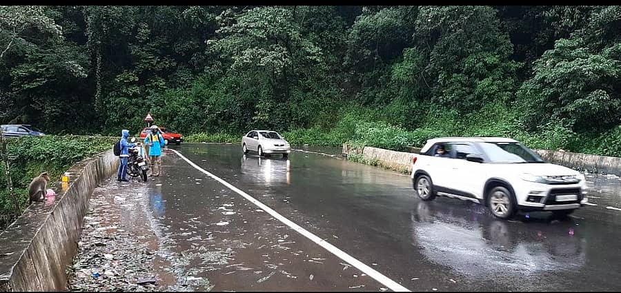 ಚಾರ್ಮಾಡಿ ಘಾಟಿ ಮಾರ್ಗ