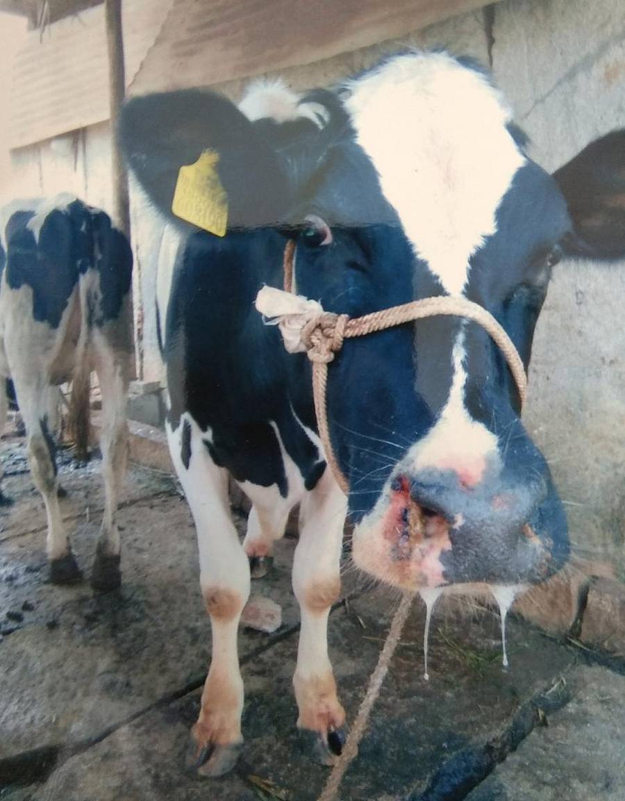 ಸಾಂದರ್ಭಿಕ ಚಿತ್ರ