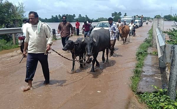 ಬೆಳಗಾವಿ ಜಿಲ್ಲೆ ಅಥಣಿ ತಾಲ್ಲೂಕಿನಲ್ಲಿ ಕೃಷ್ಣಾ ನದಿ ಪ್ರವಾಹದಿಂದ ಜಲಾವೃತಗೊಂಡಿರುವ ದರೂರ ಗ್ರಾಮದ ಜನರು ಜಾನುವಾರುಗಳೊಂದಿಗೆ ಸುರಕ್ಷಿತ ಪ್ರದೇಶಗಳಿಗೆ ತೆರಳುತ್ತಿದ್ದಾರೆ/ ಪ್ರಜಾವಾಣಿ ಚಿತ್ರ