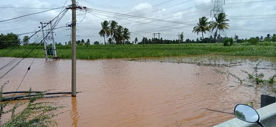 ಬೆಳಗಾವಿ ಜಿಲ್ಲೆ ಅಥಣಿ ತಾಲ್ಲೂಕಿನಲ್ಲಿ ಕೃಷ್ಣಾ ನದಿ ಪ್ರವಾಹದಿಂದ ಹಲ್ಯಾಳ ಬಳಿ ನೂರಾರು ಎಕರೆ ಜಮೀನಿಗೆ ನೀರು ನುಗ್ಗಿದೆ