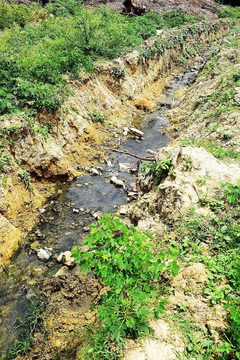 ಭರಮಸಾಗರ ದೊಡ್ಡಕೆರೆಗೆ ಪಟ್ಟಣದ ಚರಂಡಿ ನೀರು ಸೇರುತ್ತಿದೆ