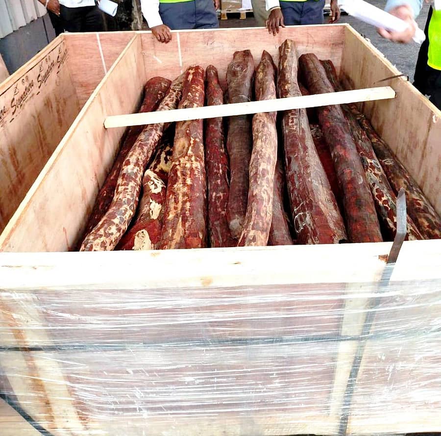 ದುಬೈಗೆ ಸಾಗಣೆ ಮಾಡಲು ಯತ್ನಿಸಿದ್ದ ರಕ್ತಚಂದನ