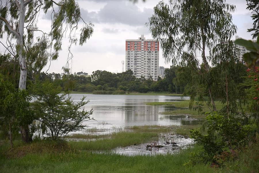 ಚಿತ್ರ: ಪುಷ್ಕರ್‌ ವಿ.