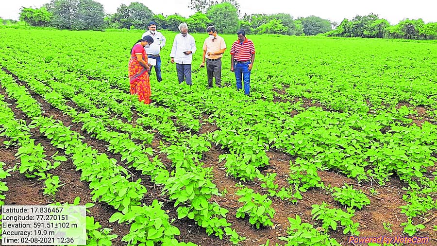 ಹುಮನಾಬಾದ್ ತಾಲ್ಲೂಕಿನ ಹಳ್ಳಿಖೇಡ (ಬಿ) ಗ್ರಾಮದ ರೈತರೊಬ್ಬರ ಹೊಲಕ್ಕೆ ಕೃಷಿ ಇಲಾಖೆ ಅಧಿಕಾರಿಗಳು ಭೇಟಿ ನೀಡಿದರು