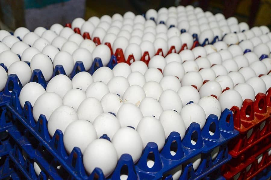 ಪ್ರಾತಿನಿಧಿಕ ಚಿತ್ರ