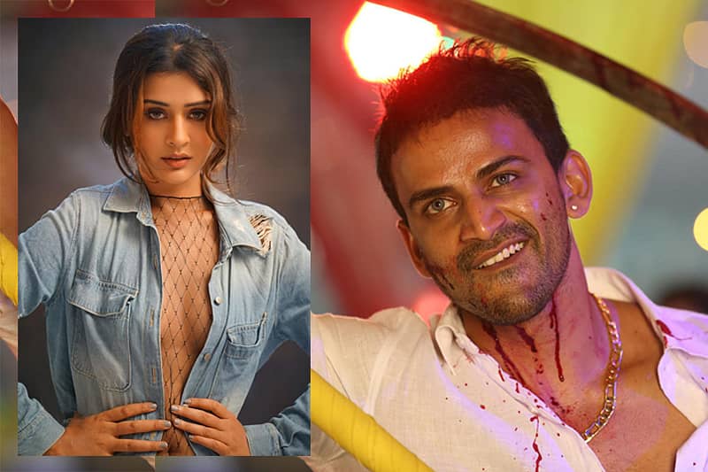 ಪಾಯಲ್ ರಾಜ್ಪುತ್, ಧನಂಜಯ್