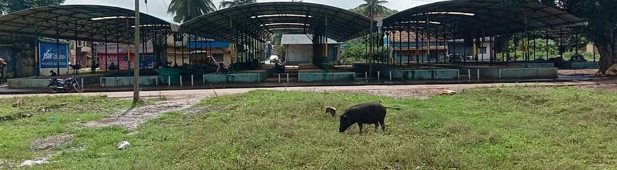 ಆನವಟ್ಟಿಯ ವಿಶಾಲವಾದ ತರಕಾರಿ ಹಾಗೂ ಕಿರಾಣಿ ಮಾರುಕಟ್ಟೆ