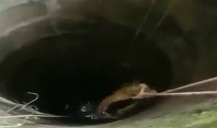 ಚಿತ್ರ ಕೃಪೆ: ANI Twitter, ಸ್ಕ್ರೀನ್ಶಾಟ್