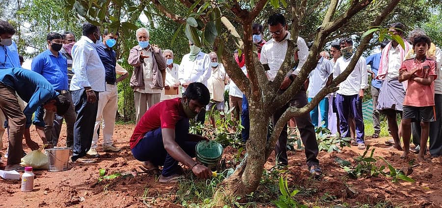 ಮಾವು ಕೊಯ್ಲು ನಂತರದ ಹಂಗಾಮಿನಲ್ಲಿ ಕೈಗೊಳ್ಳಬೇಕಾದ ಕ್ರಮಗಳ ಕುರಿತು ಕೋಲಾರ ಜಿಲ್ಲೆಯ ಗಟ್ಟಹಳ್ಳಿಯಲ್ಲಿ ಬುಧವಾರ ಹಮ್ಮಿಕೊಂಡಿದ್ದ ಕಾರ್ಯಾಗಾರದಲ್ಲಿ ರೈತರು ಪಾಲ್ಗೊಂಡರು