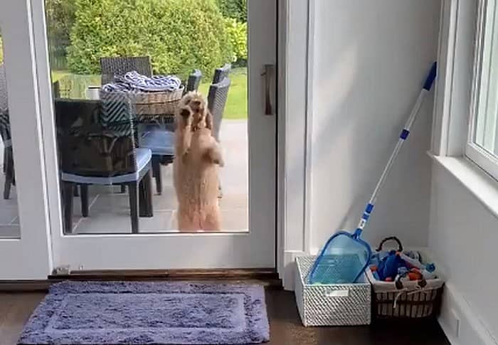 ಚಿತ್ರ ಕೃಪೆ: ಆನಂದ್ ಮಹೀಂದ್ರಾ, ಟ್ವಿಟರ್ 