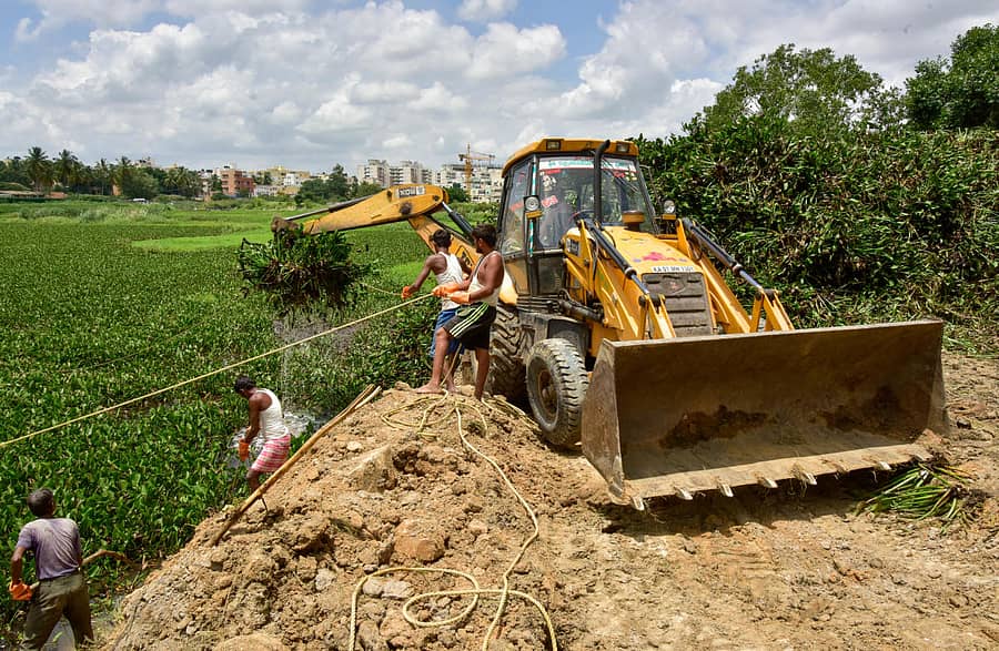 ಜೆಸಿಬಿ ಮೂಲಕ ಕಳೆ ಸಸ್ಯ ತೆಗೆಯುತ್ತಿರುವುದು