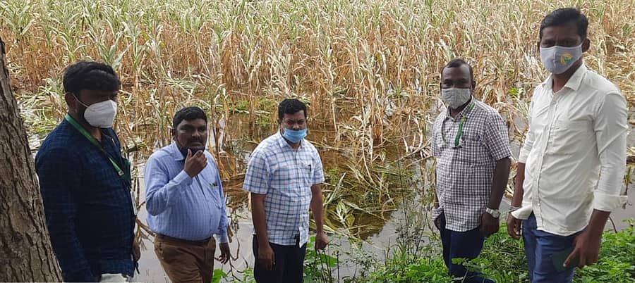 ಬ್ಯಾಡಗಿ ತಾಲ್ಲೂಕಿನ ಶಿಡೆನೂರ ಬಳಿ ಗುರುವಾರ ಹೊಲದಲ್ಲಿ ನೀರು ನಿಂತು ಹಾನಿಯಾದ ಬೆಳೆ ಸಮೀಕ್ಷೆಯನ್ನು ತಹಶೀಲ್ದಾರ್ ರವಿಕುಮಾರ ಕೊರವರ ನೇತೃತ್ವದ ತಂಡ ನಡೆಸಿತು